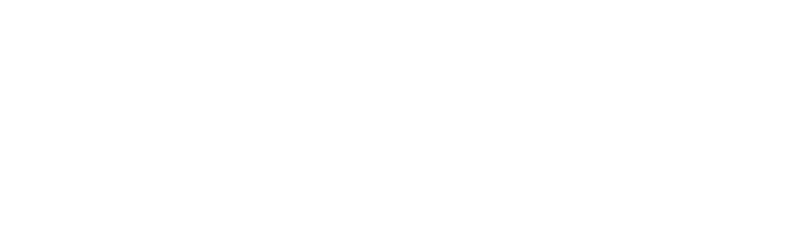 riskringer_logo_white_transparent_2625x804